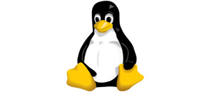 35 comandos de Linux que te pueden ser útiles